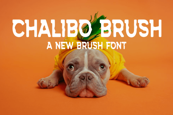 Chalibo Brush Font for Editorial Design
